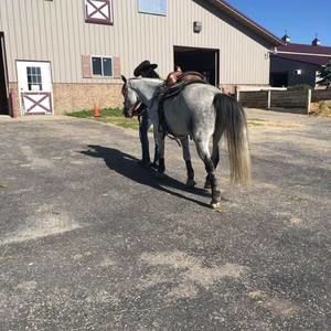 Meet your Posher, Macy